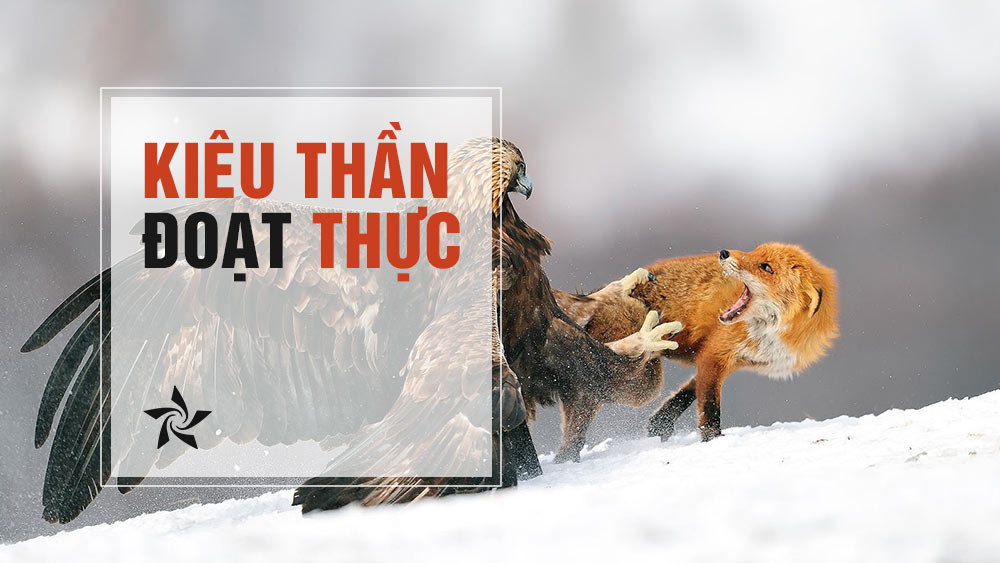 kiêu thần đoạt thực